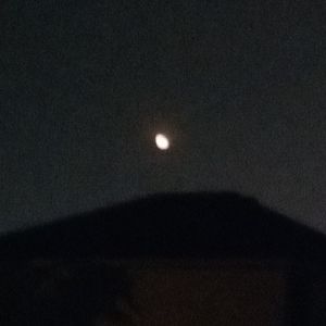 Meet your Posher, Marie